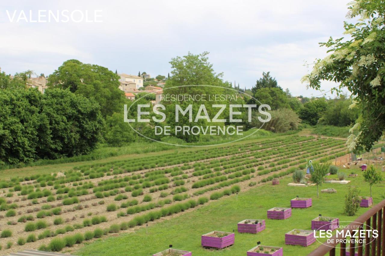 Mazet L'olivier *