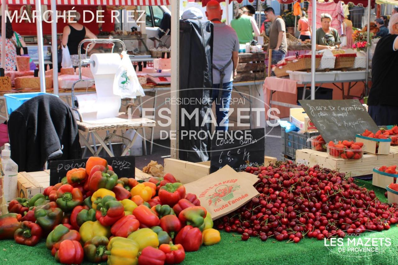 Mazet L'olivier Apartment Saint-Martin-de-Bromes