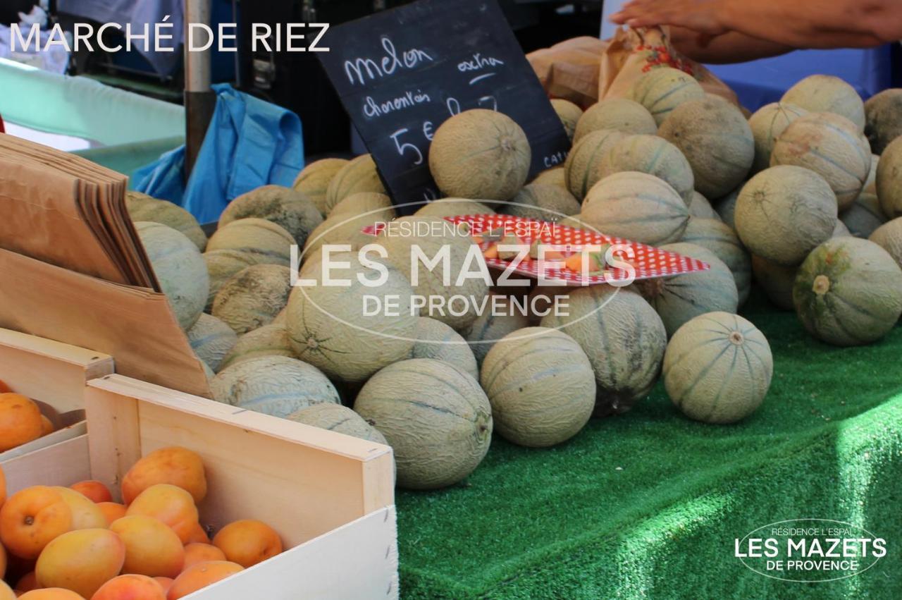 Mazet L'olivier Saint-Martin-de-Bromes